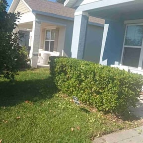 Bush Trimming by Carrate Landscaping LLC reviewed on August 20, 2025