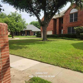 landscaping services by Vexs Lawncutters reviewed on August 16, 2025