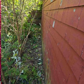 Bush Trimming by SGP Lawn Services reviewed on January 6, 2026