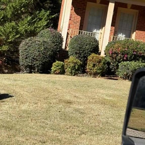 Bush Trimming by Forever Green FG LLC reviewed on January 19, 2026