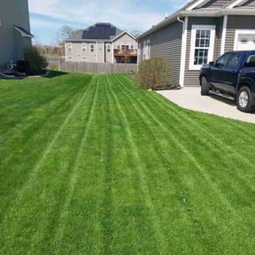 landscaping services by Cracks and corners lawn service reviewed on August 17, 2025