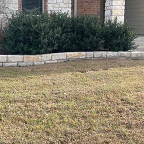Bush Trimming by Spartan Landscaping reviewed on August 17, 2025