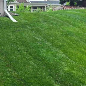 gardening service by Shawn's Lawns reviewed on August 15, 2025