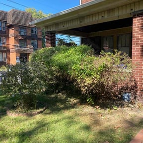 Bush Trimming by FRL Landscaping reviewed on August 17, 2025