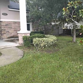 Bush Trimming by RTH Lawn Service &amp; Landscaping LLC reviewed on August 25, 2024