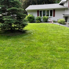 yard care by Heart at Home LLC reviewed on August 18, 2025
