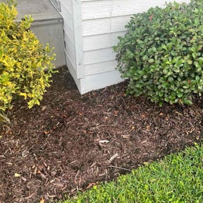 Flower Bed Weeding by B&amp;M Paradise services LLC reviewed on February 28, 2023