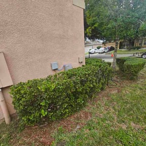Bush Trimming by Titan Mowing &amp; JMS Handy Services reviewed on October 21, 2025