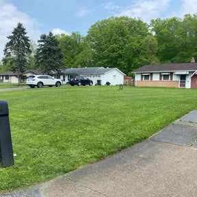 grass maintenance by Bean Sprout Lawn Service LLC reviewed on May 10, 2024