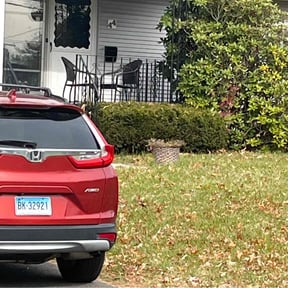 Leaf Removal by Haley's Comet reviewed on November 24, 2025