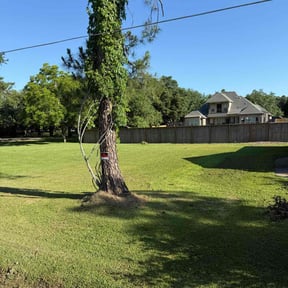 yard care by Hope Lawn Care reviewed on August 15, 2025