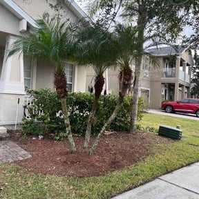 Flower Bed Weeding by No Time Wasted reviewed on September 18, 2023