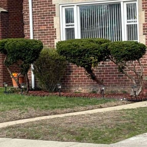 Bush Trimming by Munz Outdoor Solutions LLC reviewed on April 13, 2026