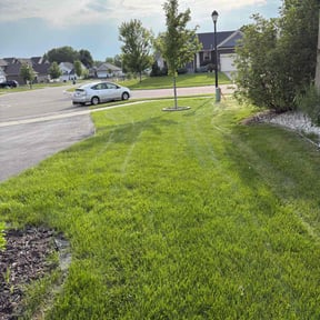 lawn service by Home and Lawn Care Professionals reviewed on August 17, 2025