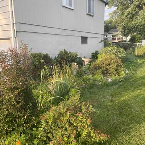 Bush Trimming by Lou Tel Landscaping and Design reviewed on August 18, 2025