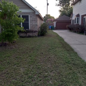 Bush Trimming by Red Carpet Lawn Care LLC reviewed on August 18, 2025