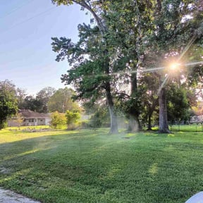 landscaping services by N.E.HLandscaping reviewed on January 20, 2026