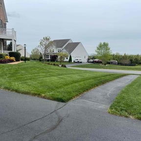 yard care by B and B Lawn and Professional Services LLC reviewed on January 3, 2026