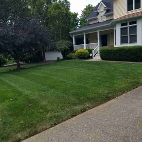 lawn care by Travis reviewed on August 29, 2024