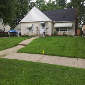 grass maintenance by Grass Assassins Lawn &amp; Landscape reviewed on August 19, 2025