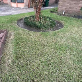 Flower Bed Weeding by D.P.S (Dave Property Services) reviewed on August 14, 2026