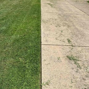 turf maintenance by Infinity Lawn Care reviewed on August 15, 2025