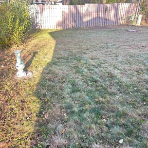 Leaf Removal by Medina's maintenance reviewed on August 10, 2020