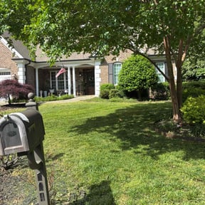 yard work by TNT landscaping & Lawncare llc reviewed on August 15, 2025