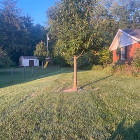 gardening service by Landscapers reviewed on August 20, 2025