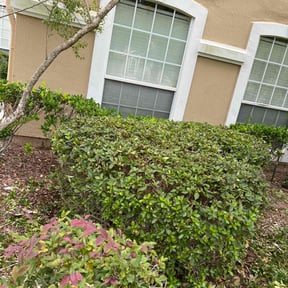 Bush Trimming by Paint by Ponch reviewed on August 17, 2025