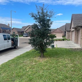 Bush Trimming by Phillip Landscape reviewed on October 22, 2025