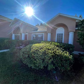 Bush Trimming by Rogers Reinvented reviewed on November 19, 2025