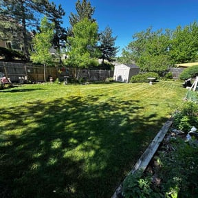 residential landscaping by 3 G's Landscaping and Design reviewed on December 31, 2025