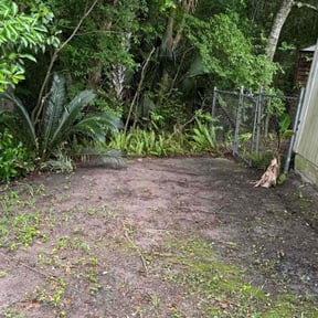 Leaf Removal by Reliable Maintenance Solutions reviewed on September 29, 2025