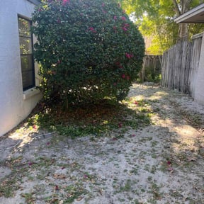 Bush Trimming by Randy's lawnmower reviewed on August 17, 2025
