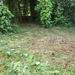 Leaf Removal by Verns Lawncare LLC reviewed on August 19, 2025