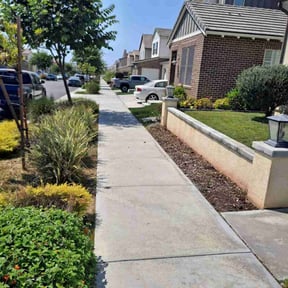 yard care by Keith Dalke reviewed on December 3, 2025