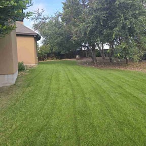 lawn service by Stephen Reynolds reviewed on May 23, 2024