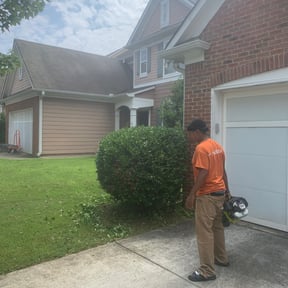Bush Trimming by Gios Multitask Lawn & Landscaping Services LLC reviewed on August 21, 2025