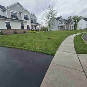 grass maintenance by Padro Lawn and Window reviewed on April 25, 2025