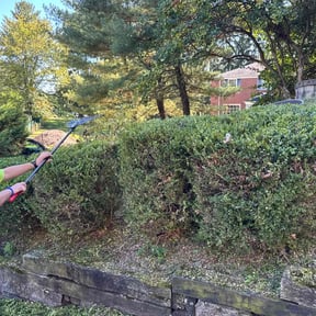Bush Trimming by MrKlean lawncare reviewed on October 19, 2025