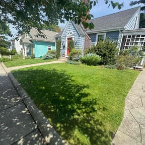 yard service by DBHLANDSCAPING reviewed on August 19, 2025