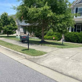 landscaping services by Paramount Professional Services reviewed on August 20, 2025