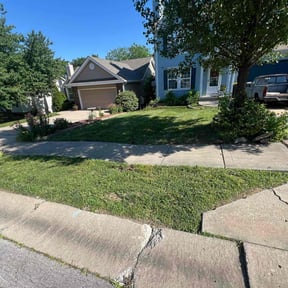 yard work by Sage Landcrafters reviewed on August 21, 2025