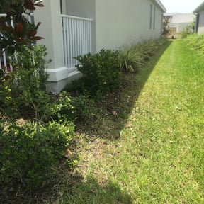 Bush Trimming by Tyler's Touch Lawn Care reviewed on August 21, 2025
