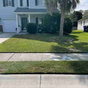 Bush Trimming by Kyle Yacko reviewed on August 21, 2025