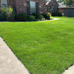 landscaping by Ground Aesthetics reviewed on November 22, 2025