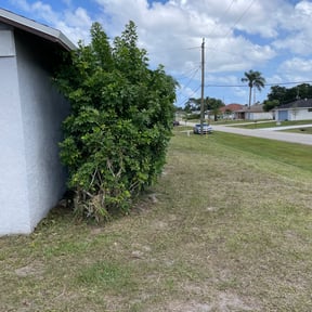Bush Trimming by N&N lawn care and snow removal reviewed on August 17, 2025