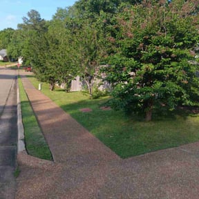 residential landscaping by Lawn Care reviewed on August 15, 2025