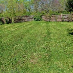 lawn care by Texas Fencing & Landscaping (Duplicate) reviewed on November 9, 2017